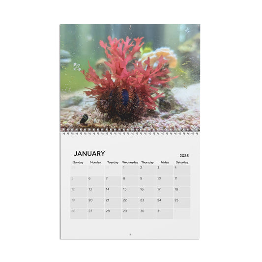 Anacorals Calendar 2025 with Fish and Corals